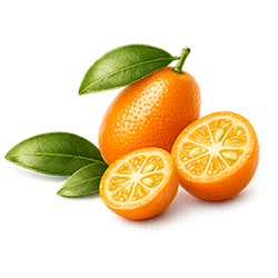 Kumquat